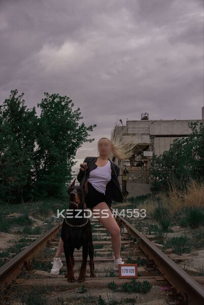Until October 29, Whats has a private channel in TG Karaganda фото — 91